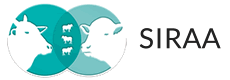 SIRAA